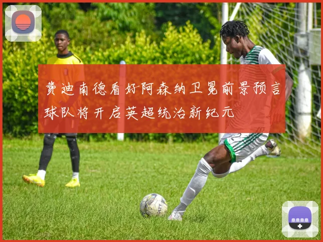 费迪南德看好阿森纳卫冕前景预言球队将开启英超统治新纪元